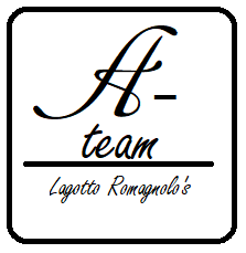 A-Team Lagotto Romagnolo's